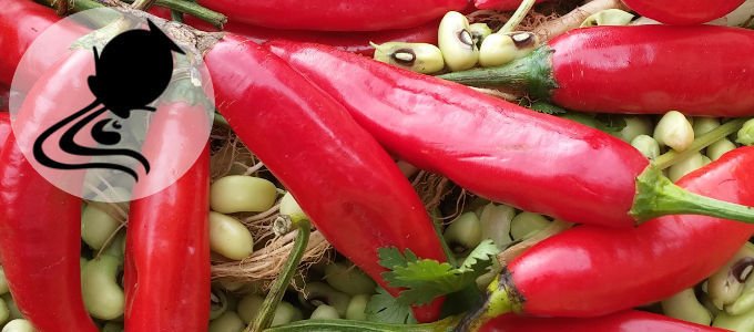 O signo de Aquário combina com a Pimenta Dedo-de-moça.