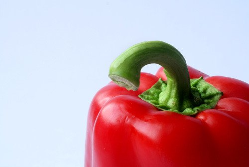 Hot honey: o mel picante que conquistou o mundo