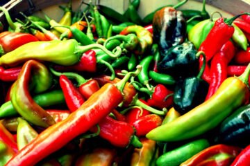 Adubação de pimenteira: o que usar em cada fase