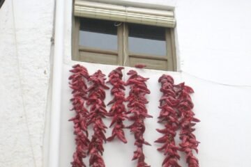 Pimenta desidratada em casa: forno, sol e desidratador