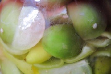 Molho de pimenta fermentado: guia completo pra iniciantes