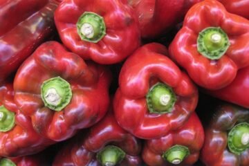 Pimenta e gastrite: pode ou não pode?