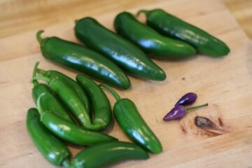 Conserva de jalapeño em rodelas (estilo nachos)