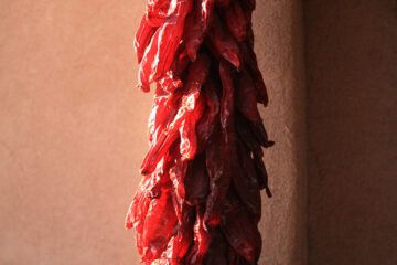 Cultivo de Carolina Reaper: o desafio das superhots